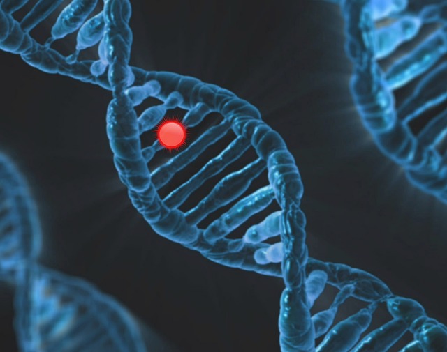 AI in Healthcare: Revolutionizing Diagnosis for a Healthier Future