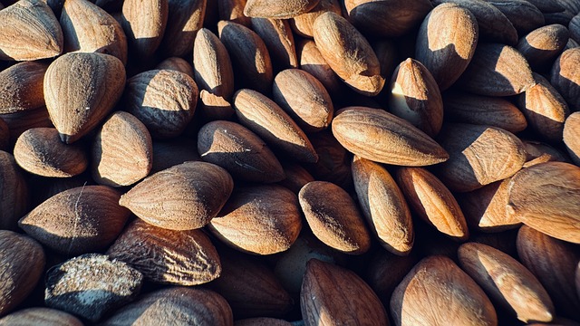 almond, nut, nutrition, healthy, tasty, snack