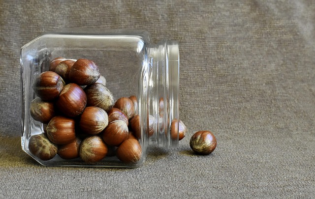 hazelnuts, nut, brown nuts, nutrition, snack, natural, dieting, weight loss, fitness, source of protein, protein, organic, healthy snack, ingredient, hazel, brown fitness, brown workout, brown diet, brown nutrition
