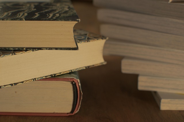 literature, training, wood, library, a book, stack, study, read, literary, paper, research, school, write, vintage, university, knowledge, science, information, to learn, textbook, group, old, document, culture, heap, collection, shelf, bookshelf, antiquity, text, ancient, retro, college, side, wisdom, brown, classic, dirty, concept, library books, literacy, entertainment, fiction, hardcover, leisure time, white, workplace, story, hardcover book, pastel, business, recreation, know how, second hand, books, sale, romantic, carton, stacked, tower, law, isolated, dictionary, instructive, bound edition, volume, antiquariat, old book, to study, writing, middle ages, lend, antiquarian, old books, antique, bookcase, used books, spine, secrets, reading, book content, bound, cover, university, textbook, bookshelf, bookshelf, bookshelf, college, literacy, literacy, books, law, law, law, law, law, dictionary, dictionary, lend