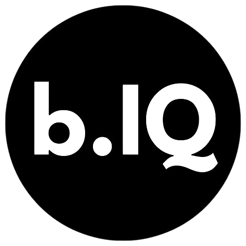BlogiQ.